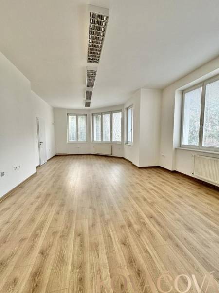 Kanceláře s velkými okny a podlahou s dřevěným dekorem.