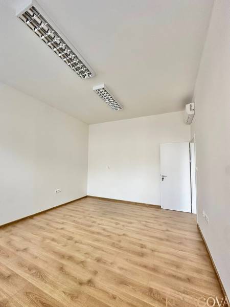 Kanceláře s podlahou s dřevěným dekorem a bílými stěnami, svítidla na stropě.