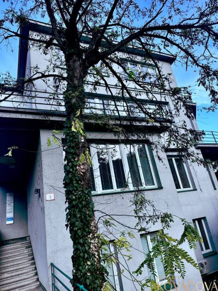 Budova na ulici M.R.Štefánika v Trenčíně, obklopená stromy, nabízí kancelářské prostory.