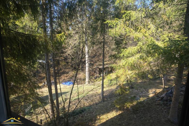 Lesnaté prostředí kolem chaty v Oščadnici, se stromy a travnatou plochou.