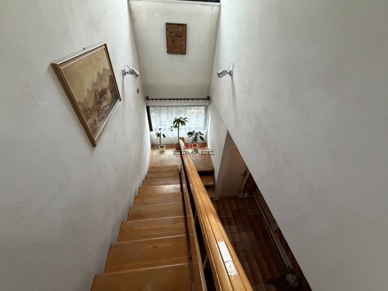 Schodiště v rodinném domě s obrazem na stěně a rostlinou u okna.