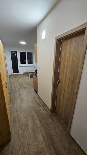 Garsonka s podlahou s dřevěným dekorem, bílými stěnami a nábytkem.