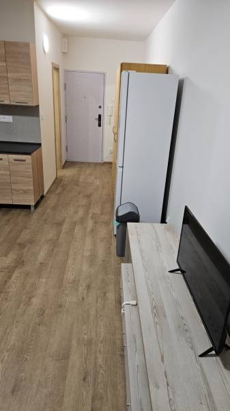 Garsonka s podlahou s dřevěným dekorem, kuchyňskou linkou, lednicí a televizí.