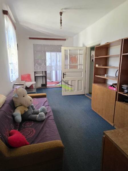 Obývací pokoj rodinného domu s pohovkou, policovou skříní a hračkou na podlaze.