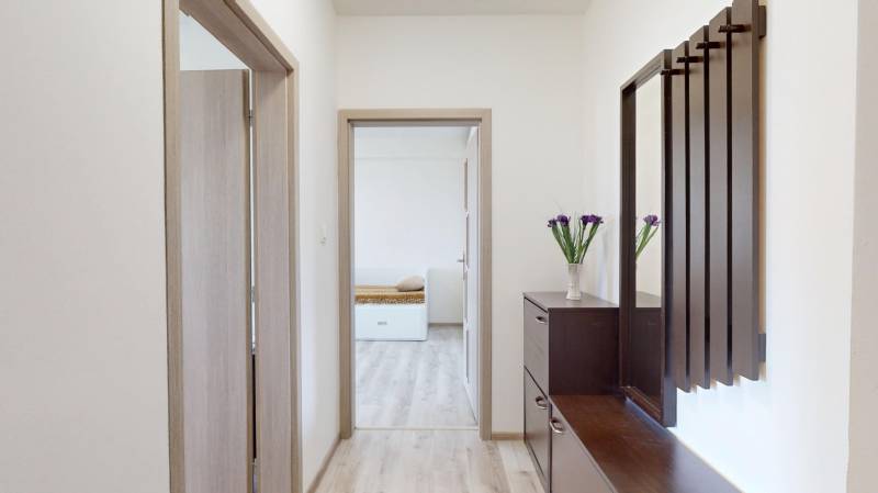 Chodba v 2pokojovém bytě s podlahou s dřevěným dekorem a tmavým nábytkem.