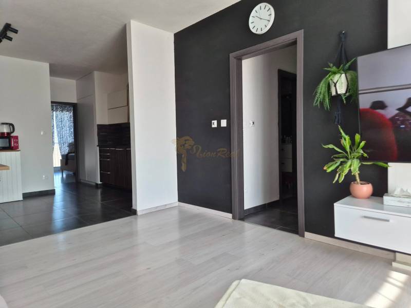 Obývací pokoj s podlahou s dřevěným dekorem, černou stěnou a rostlinami v 3-pokojovém bytě.