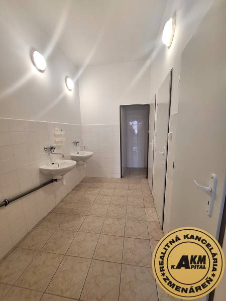 Kanceláře s umyvadly a dlažbou, světlé stěny, koupelna nebo toaleta.