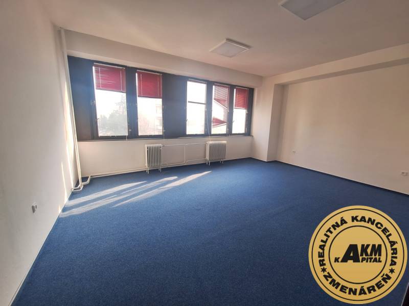 Kancelář s modrým kobercem a velkými okny, prosvětlený prostor.