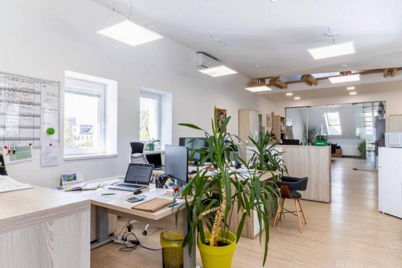 Osvětlené kanceláře s počítači, rostlinami a podlahou s dřevěným dekorem.