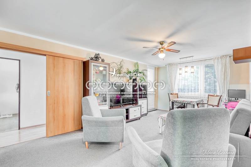 Světlý obývací pokoj s pohovkami ve 4pokojovém bytě a podlahou s dřevěným dekorem.