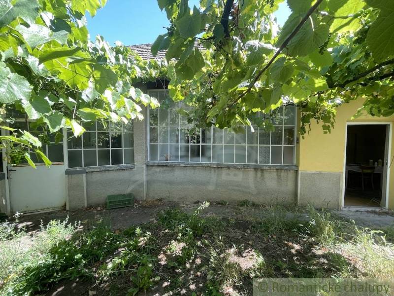 Rodinný dům v Tvrdošovcích s verandou obklopený zelení, zahrada s vinicí.