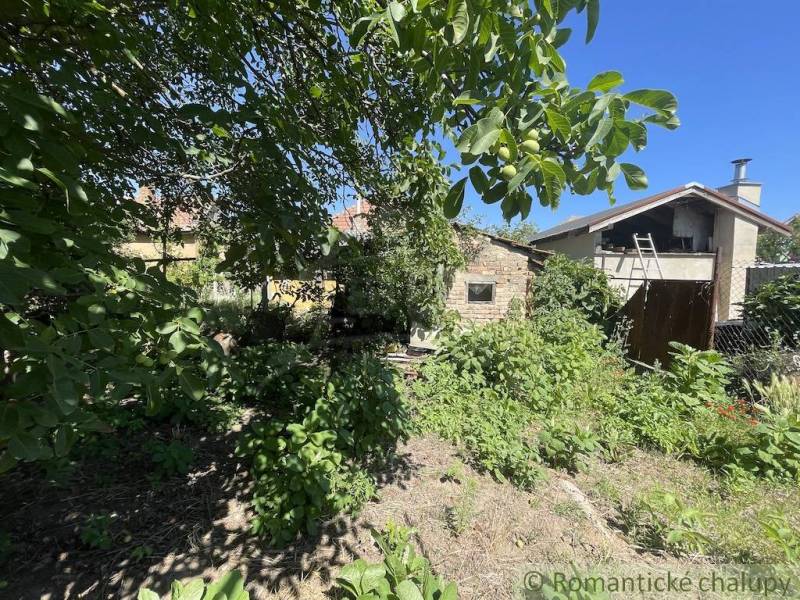Zahrada u rodinného domu v Tvrdošovcích, obklopená bujnou zelení a stromy.