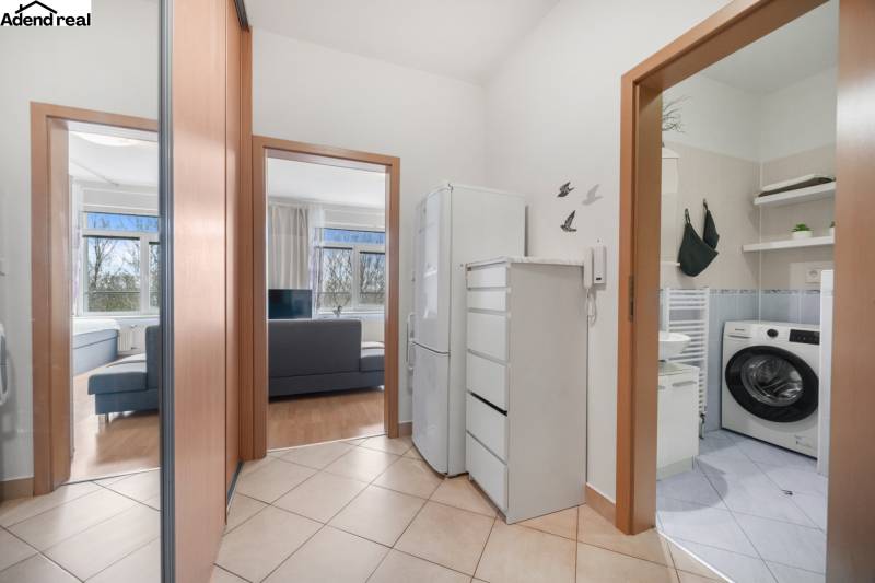 V interiéru 1-pokojového bytu jsou viditelné chodba, koupelna a obývací prostor.