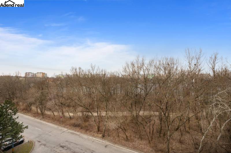 Pohled z Antolské ulice v Bratislavě, Petržalce na les a paneláky, 1-pokojový byt.