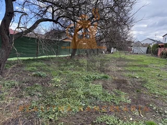 IMG_8620 Stredná.jpeg