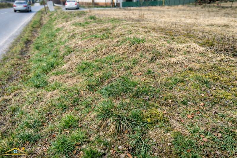 Pozemky - bydlení v Korni s travnatou plochou u cesty.