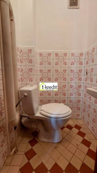 Toaleta s dlažbou a dekoračními obkladačkami v rodinném domě.