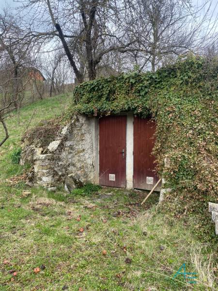 Na Myjavě na Turou louku stojí rodinný dům se starým vinným sklepem.