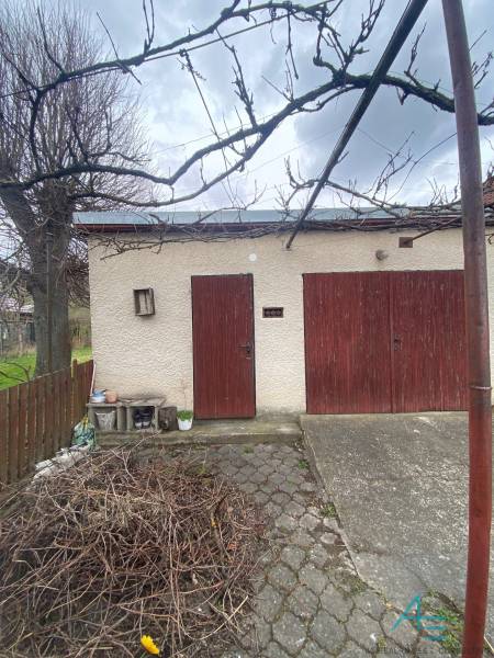 Rodinný dům na Turej Lúce v Myjavě s dvorem, stromy a dřevěnými dveřmi.