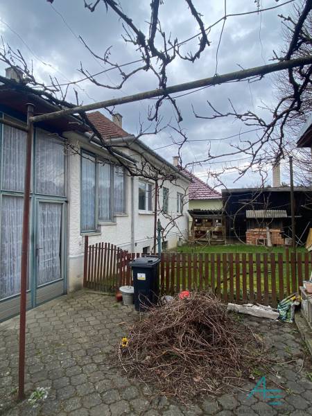 Rodinný dům na Turej Lúce v Myjavě s dvorem a popínavými rostlinami.