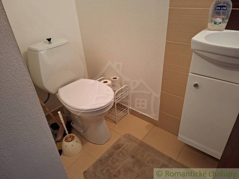 Koupelna v rodinném domě s toaletou a umyvadlem na podlaze s dřevěným dekorem.