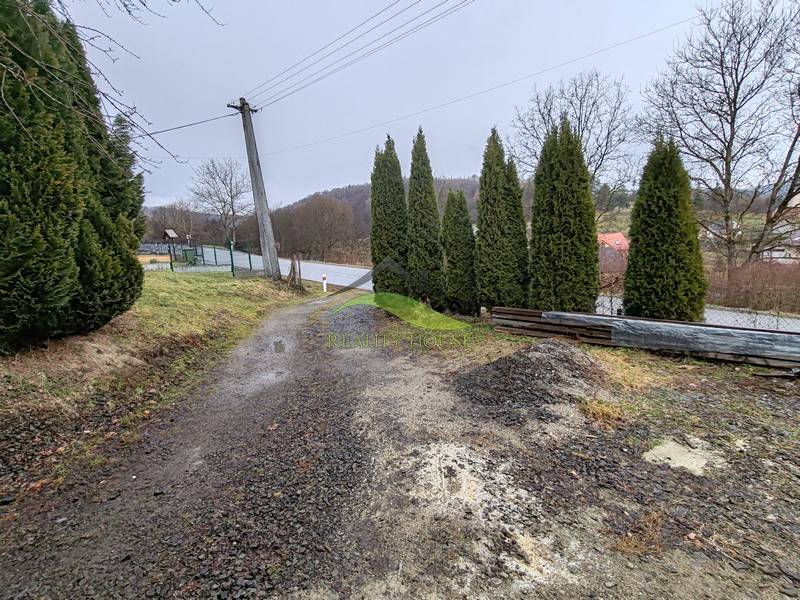 Cesta a stromy vedle rodinného domu na Hlavní ulici v Piskorovcích.