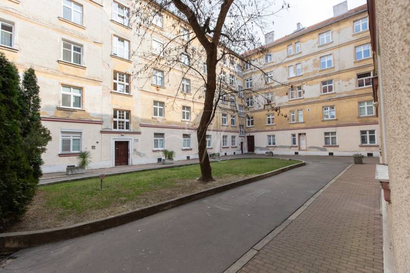 Obytný komplex se stromem a trávníkem na Medené ulici v Bratislavě, Staré Město.