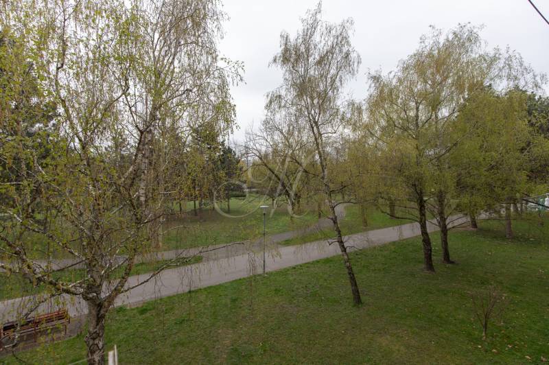 Park se stromy a chodníky v Bratislavě - Ružinově na Planétách.