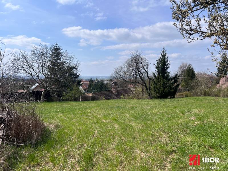 Zeleň na pozemcích - bydlení v Mariance na Budovatelské ulici obklopená stromy a nedalekými domy.