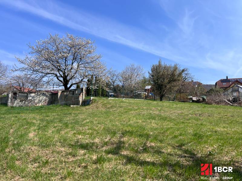 Kvetoucí stromy a travnatá plocha na pozemku pro bydlení v Mariance na Budovatelské ulici.