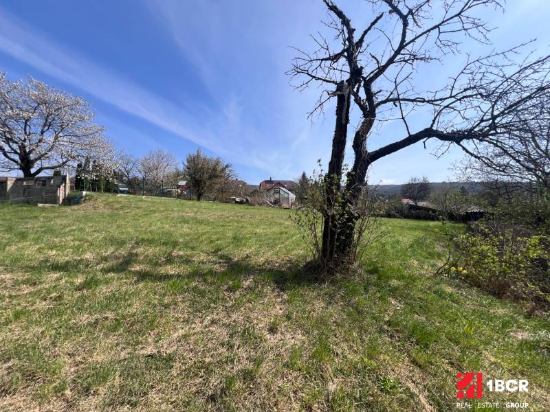 Pozemky - bydlení na Budovatelské ulici v Mariánce s travnatou plochou a stromy.