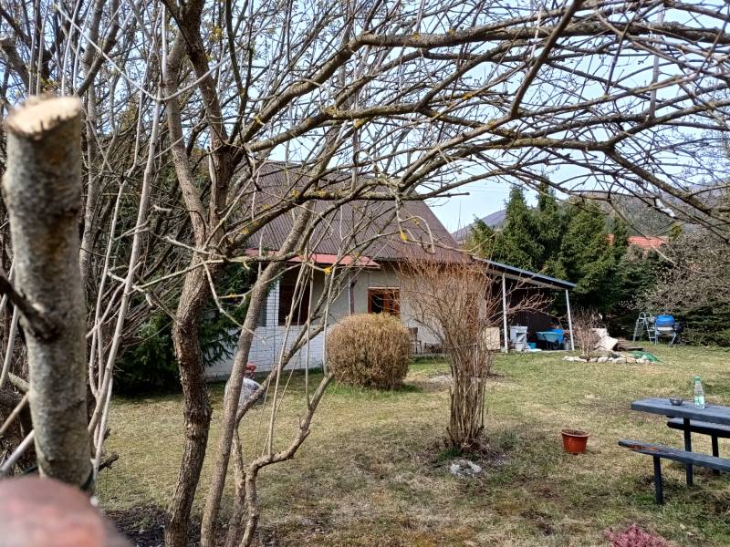 Rodinný dům ve Vrícku, obklopený stromy a trávníkem na venkově.