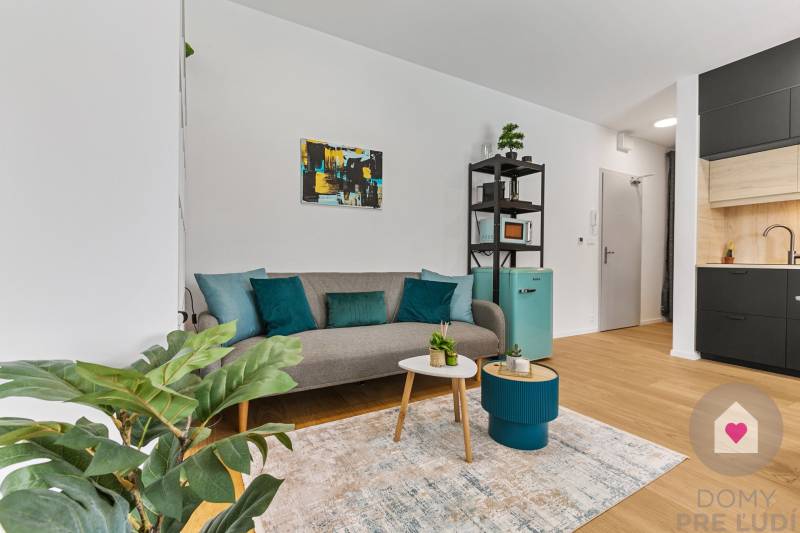 Světlý obývací prostor v 1-pokojovém bytě s pohovkou a rostlinou, podlaha s dřevěným dekorem.