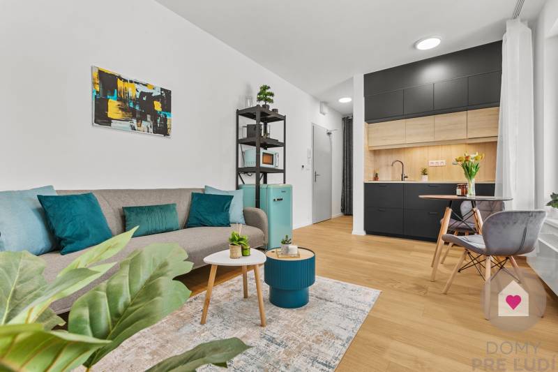 Obývací pokoj s pohovkou, dekorativními polštáři a podlahou s dřevěným dekorem v 1pokojovém bytě.