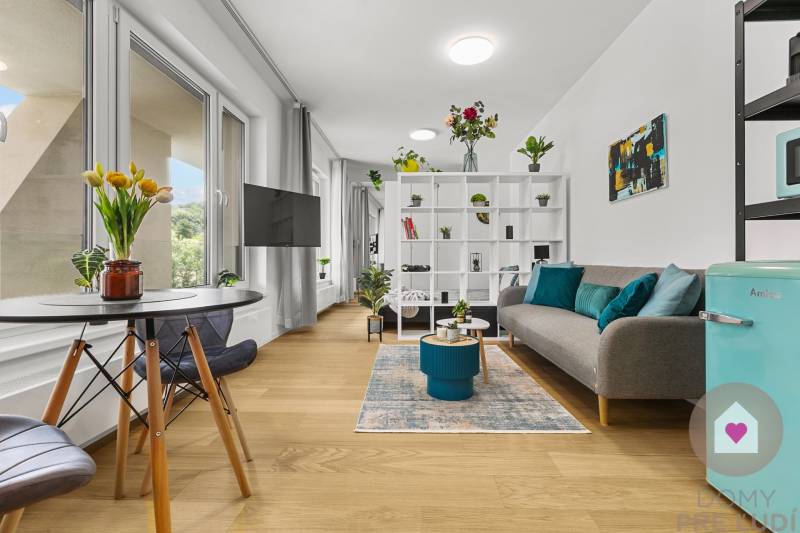 Světlý 1-pokojový byt s podlahou s dřevěným dekorem, pohovkou a jídelním koutem.