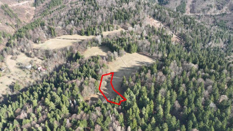 Louky a lesy v Lazy pod Makytou se rozprostírají mezi hustými stromy.