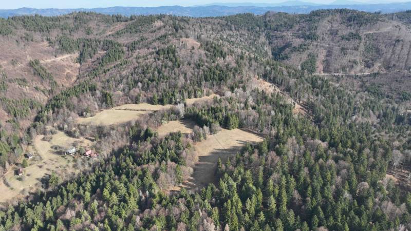 Lesnatá krajina a louky v blízkosti Lazy pod Makytou, zemědělské a lesní pozemky.