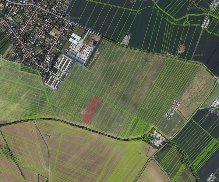 Letecký pohled na zemědělské a lesní pozemky v Práznovcích, mapované parcelní hranice.