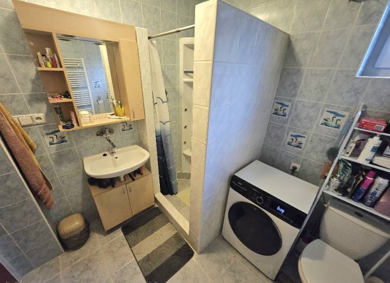 Koupelna v rodinném domě s umyvadlem, sprchovým koutem, pračkou a WC.