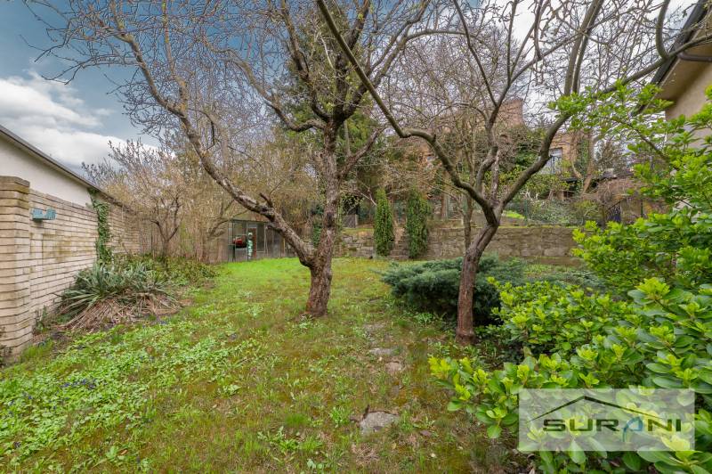 Zahrada u 4pokojového bytu na Krčméryho ulici v Bratislavě - Starém Městě.