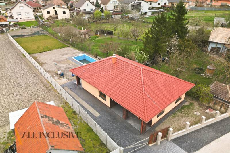 Rodinný dům v Horním Mýtě s bazénem a velkou zahradou obklopený zelení.