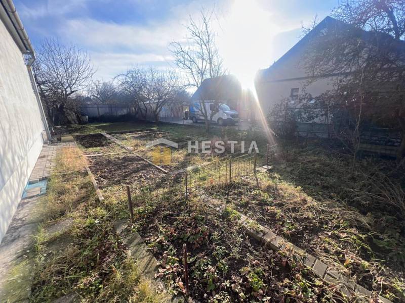 Zahrada s holými stromy a oplocenými záhony v Senici, osvětlená slunečními paprsky.