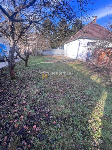 Zahrada v Senici s ovocnými stromy a trávníkem blízko gastro prostorů.