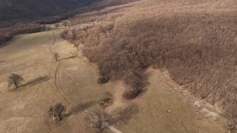 Louky a lesní porosty v okolí Príbeliec. Zemědělské a lesní pozemky s cestou.