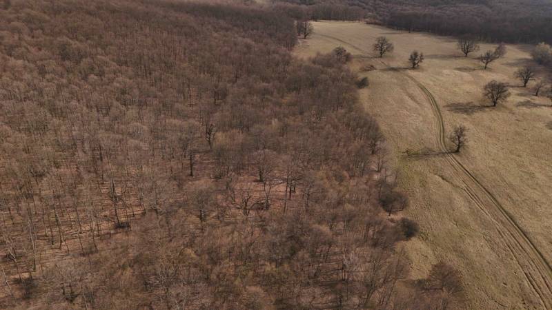 Krajina v Príbelsciach s lesními a zemědělskými pozemky přecházejícími do otevřených luk.