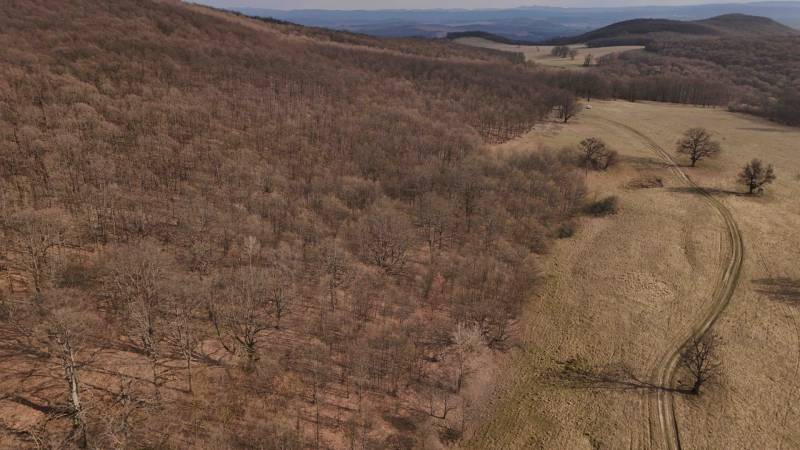 Lesní pozemky v okolí Príbeliec s polní cestou a listnatým lesem na svahu.