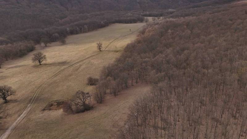 Podzimní krajina zemědělských a lesních pozemků v okolí Príbeliec s cestními stopami.