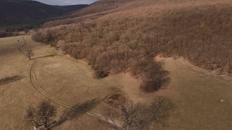 Zemědělské a lesní pozemky v Príbelciach s cestou vedoucí podél lesního porostu.