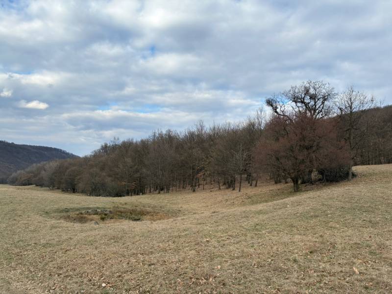 Zemědělské a lesní pozemky v Príbelciach s holými stromy a zamračenou oblohou.