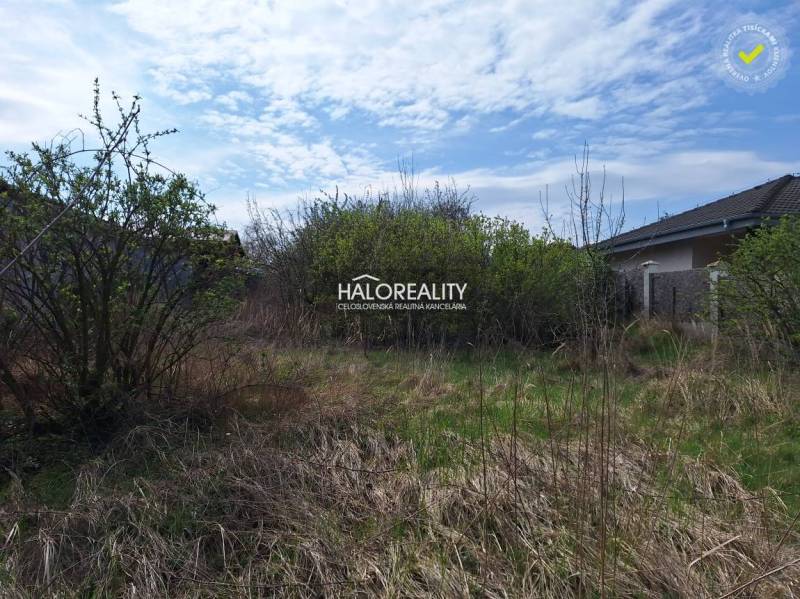 Pozemky - bydlení v Dvorníkách s keři a travnatou plochou, ideální pro stavbu.